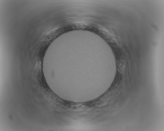 X0000115341061200911231428