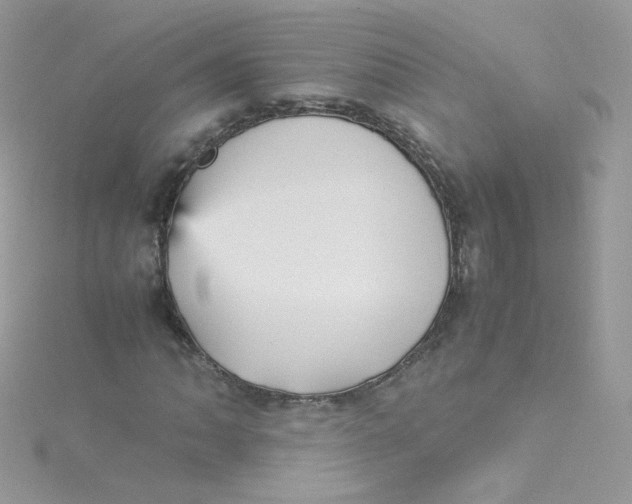 X0000115341062200911231428