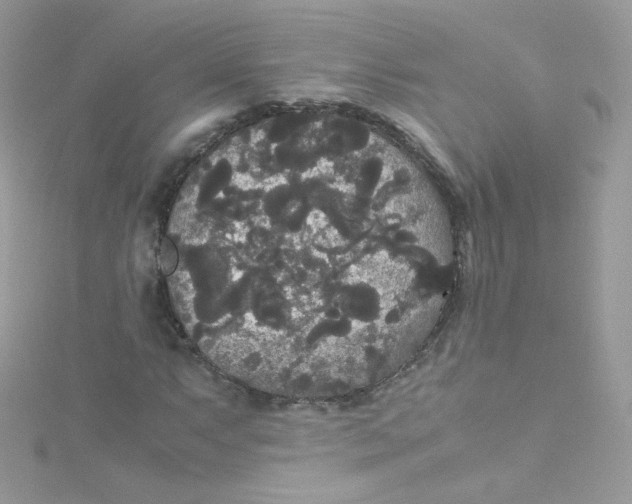 X0000115341063200911231428