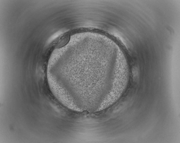 X0000115341064200911231428