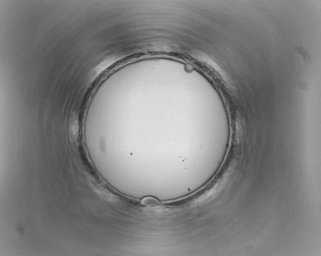 X0000115341065200911231428