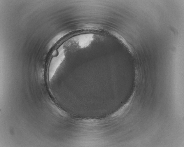 X0000115341066200911231428