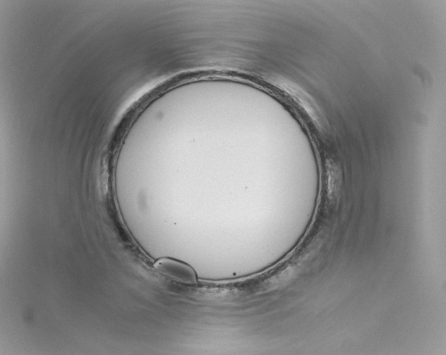 X0000115341069200911231428