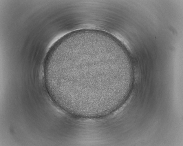 X0000115341070200911231428