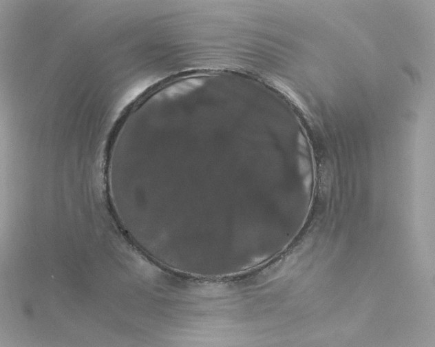 X0000115341071200911231428