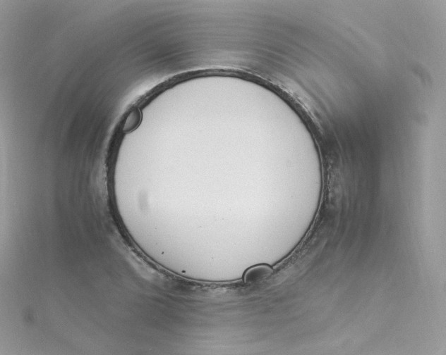 X0000115341072200911231428