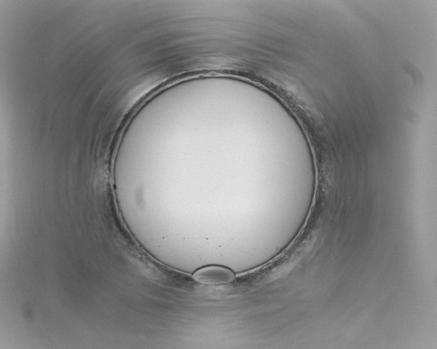 X0000115341073200911231428