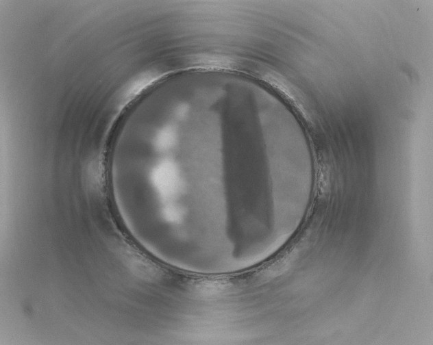 X0000115341074200911231428