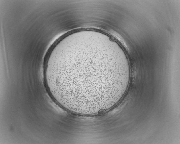 X0000115341076200911231428