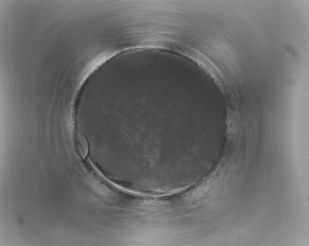 X0000115341077200911231428