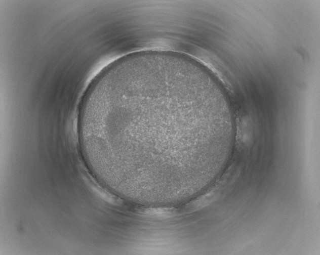 X0000115341078200911231428