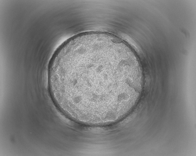 X0000115341079200911231428