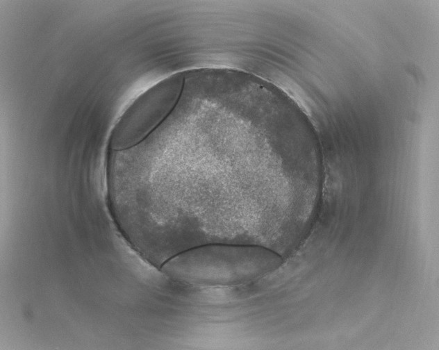 X0000115341080200911231428