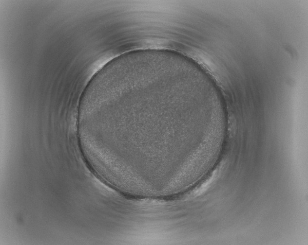 X0000115341081200911231428