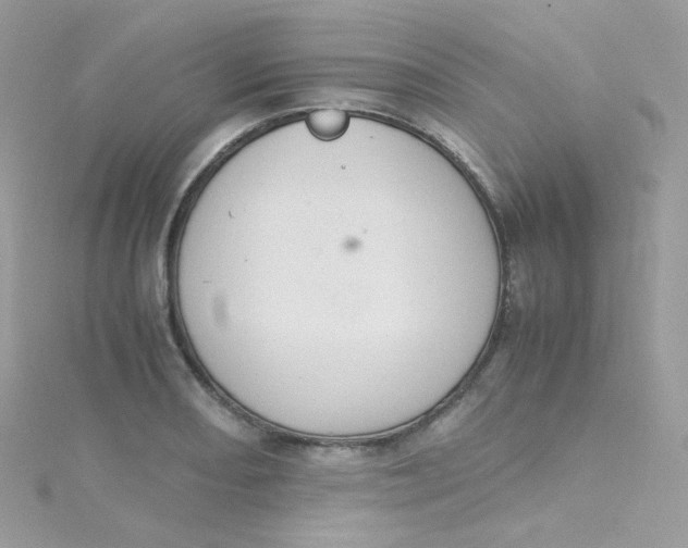 X0000115341082200911231428