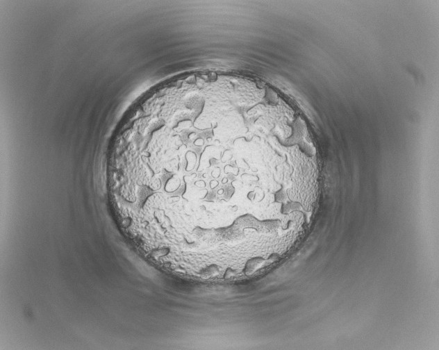 X0000115341083200911231428