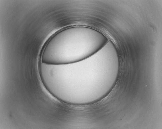 X0000115341084200911231427