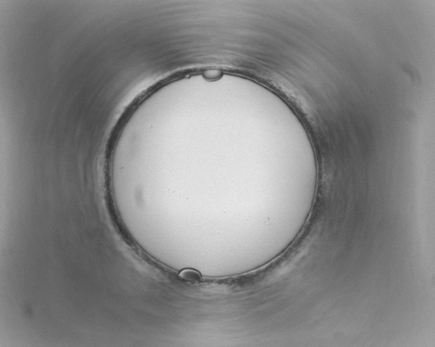 X0000115341085200911231427