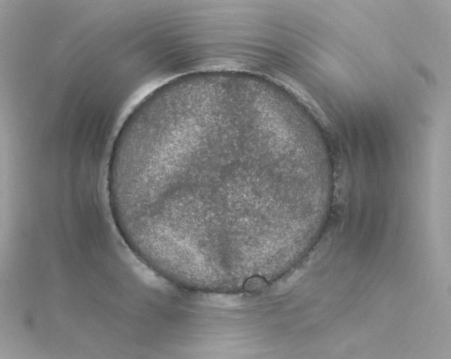 X0000115341086200911231427