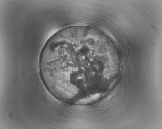 X0000115341087200911231427