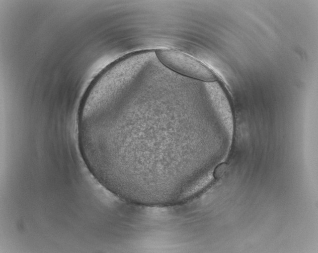 X0000115341088200911231427