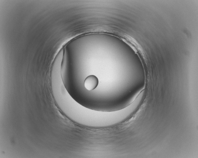 X0000115341089200911231427