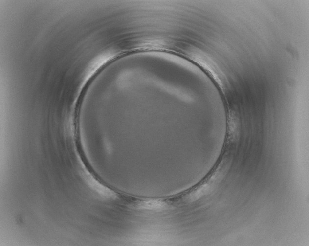 X0000115341090200911231427