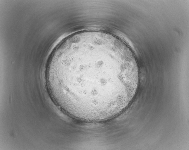 X0000115341091200911231427