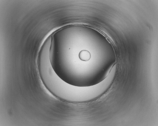 X0000115341092200911231427