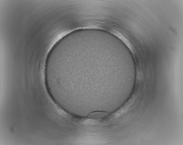 X0000115341093200911231427