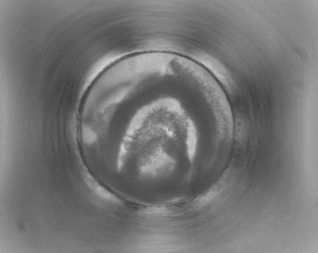 X0000115341094200911231427