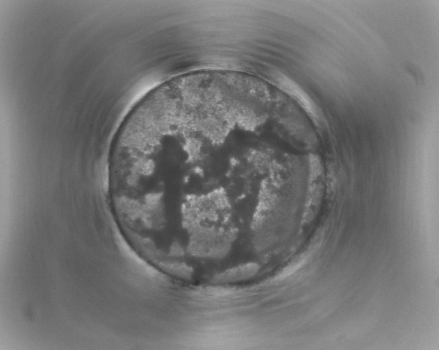 X0000115341095200911231427