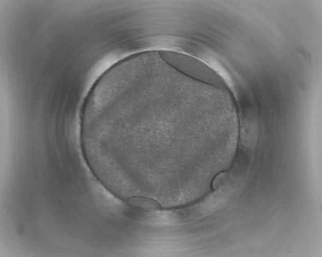 X0000115341096200911231427