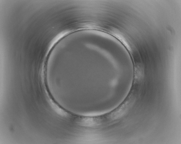 X0000115341098200911231427