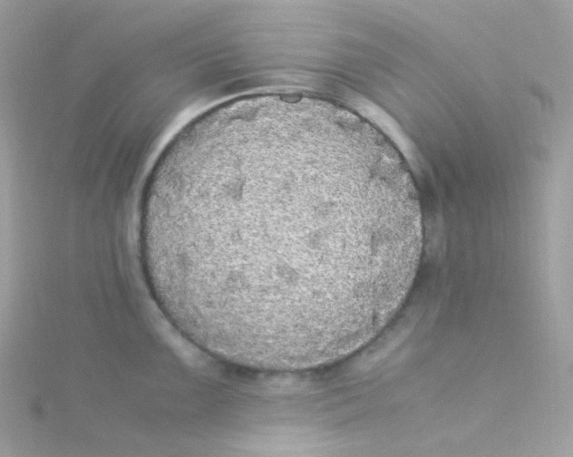 X0000115341099200911231427