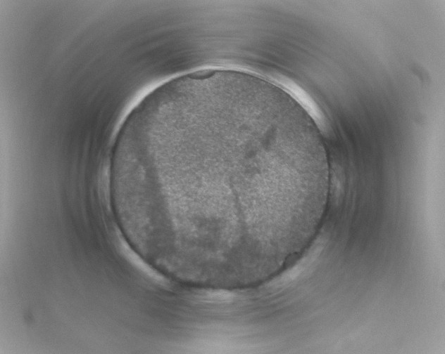 X0000115341100200911231427