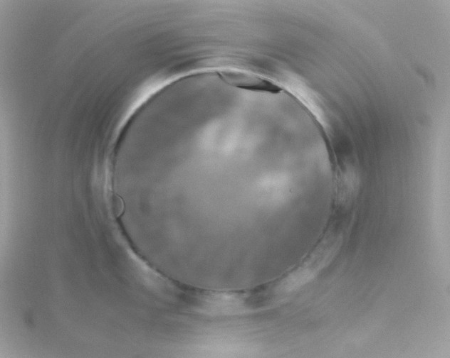 X0000115341101200911231427