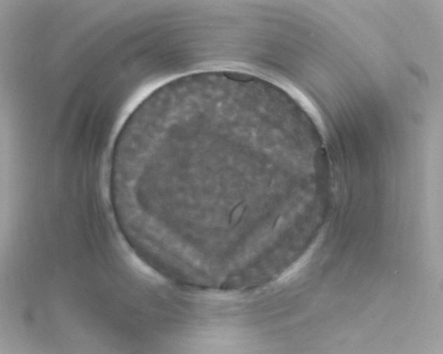 X0000115341102200911231427