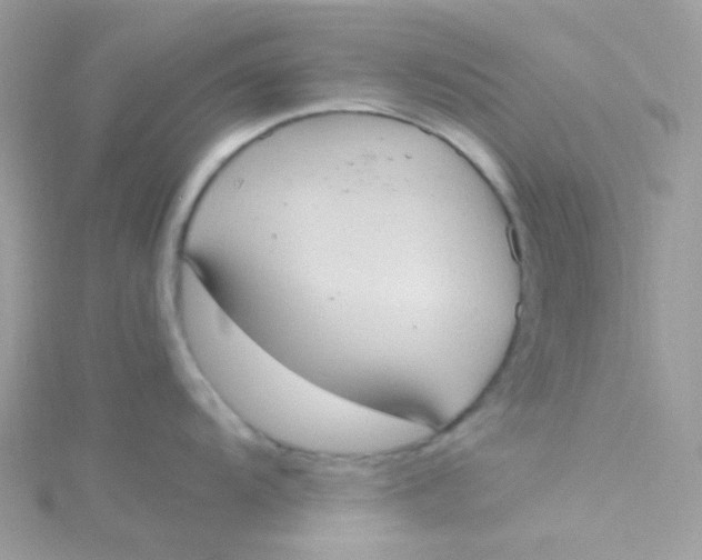 X0000115341104200911231427