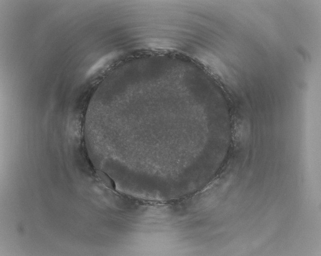 X0000115341110200911231427