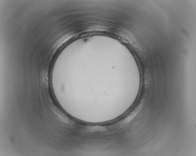 X0000115341113200911231427