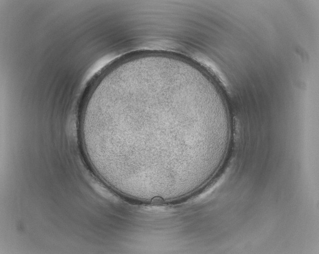 X0000115341114200911231427