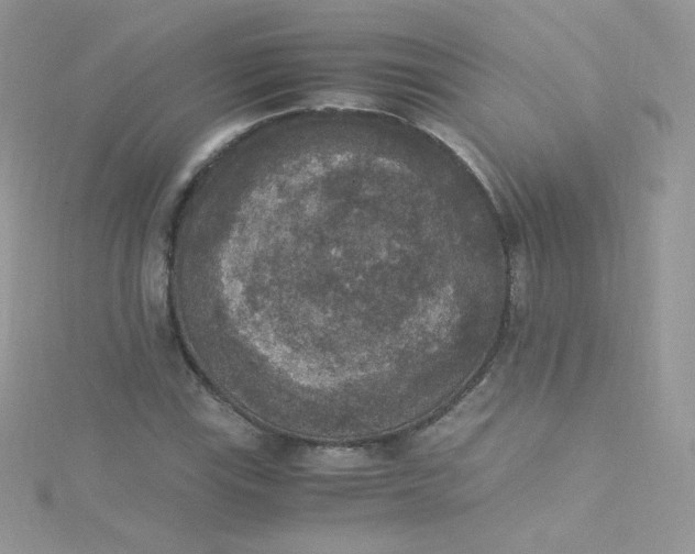 X0000115341115200911231427