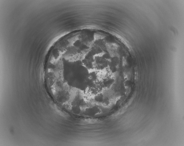 X0000115341117200911231427