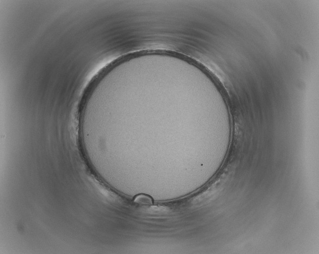 X0000115341119200911231427