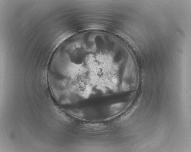 X0000115341121200911231427