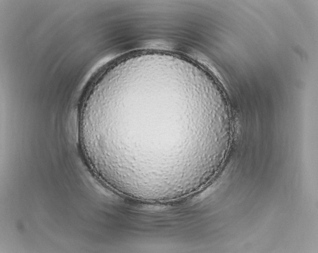 X0000115341123200911231427