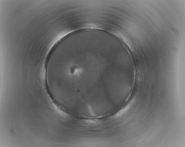 X0000115341125200911231427