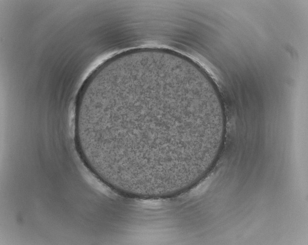 X0000115341126200911231427