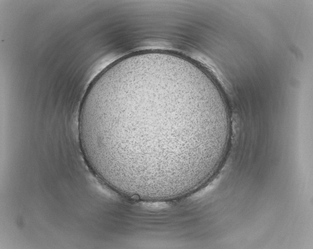 X0000115341129200911231427